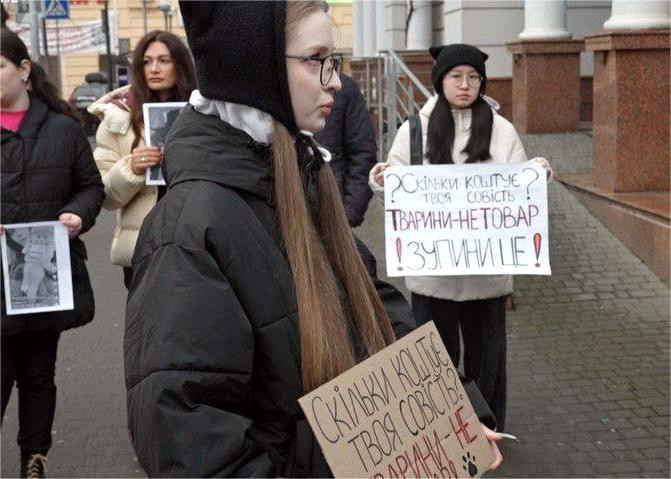 10064 image for slide