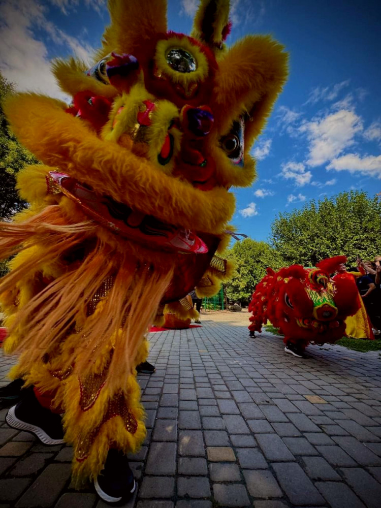 3174 image for slide