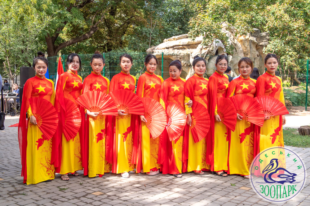 3181 image for slide