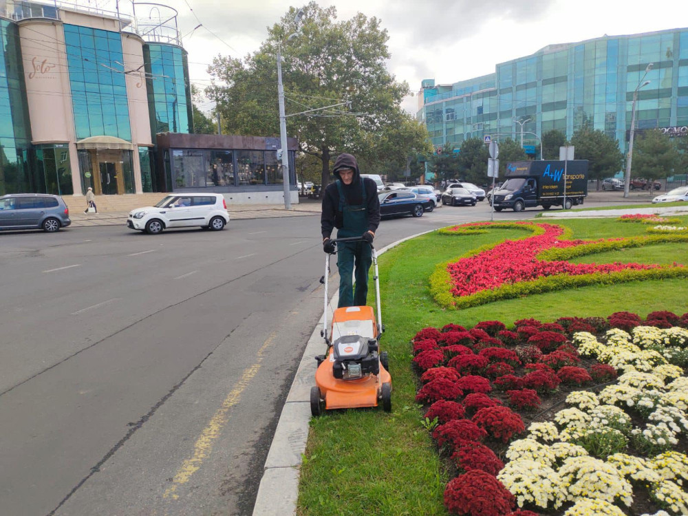 3384 image for slide