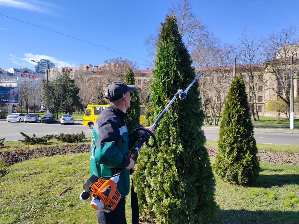 3401 image for slide