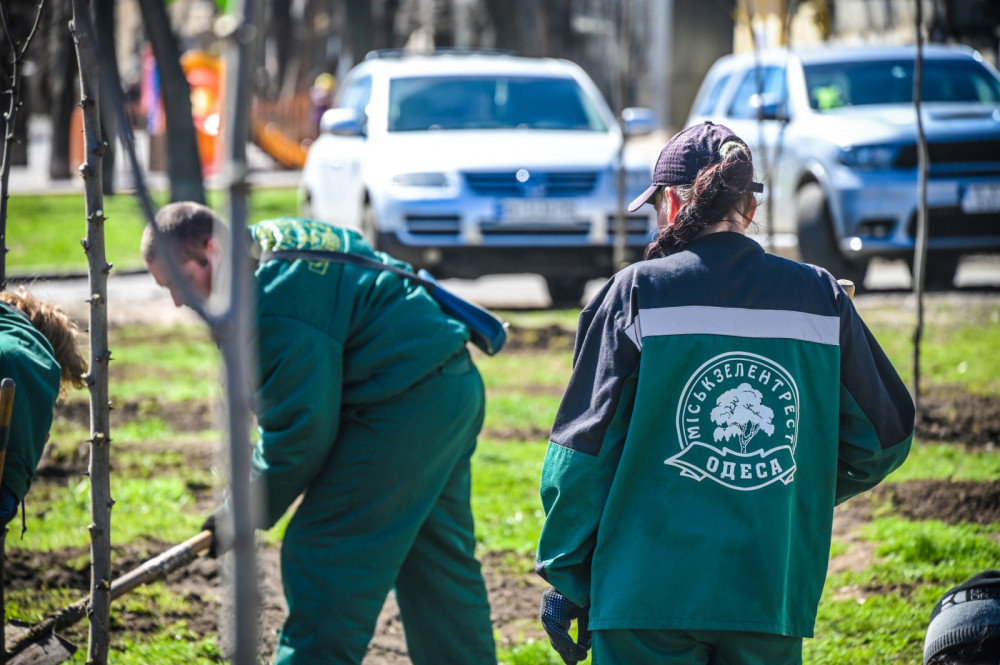 3402 image for slide