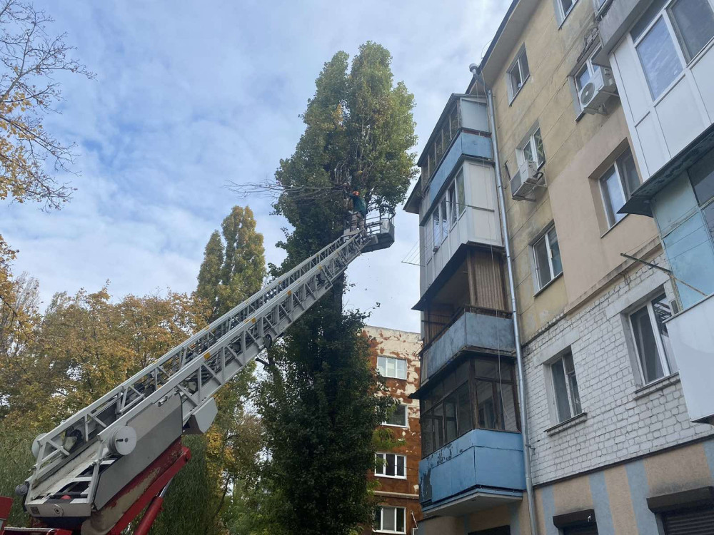 3457 image for slide