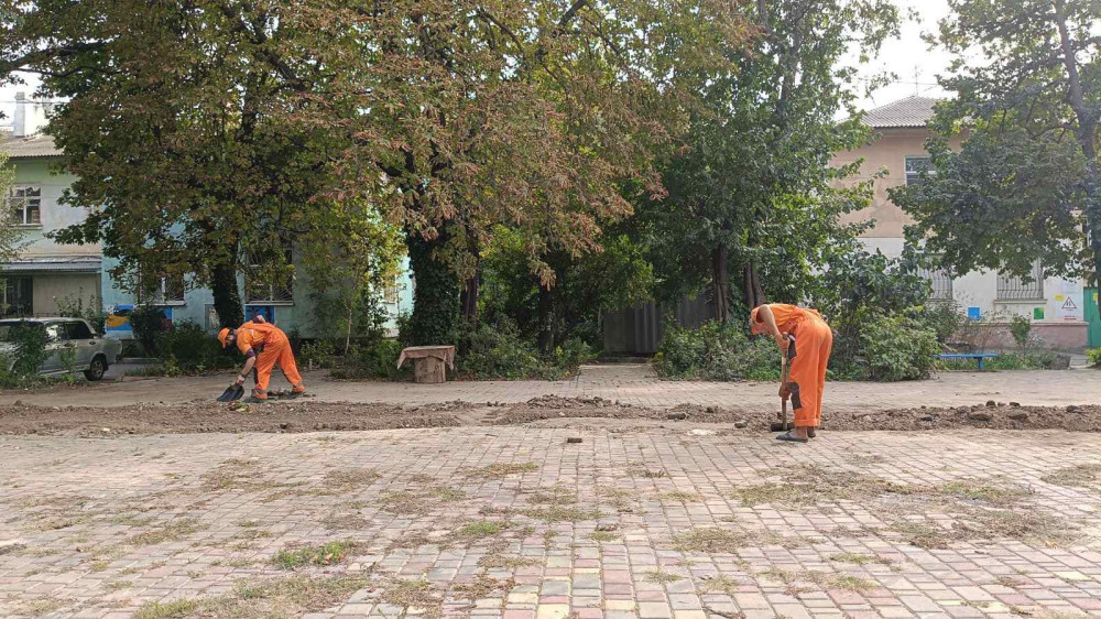 3885 image for slide