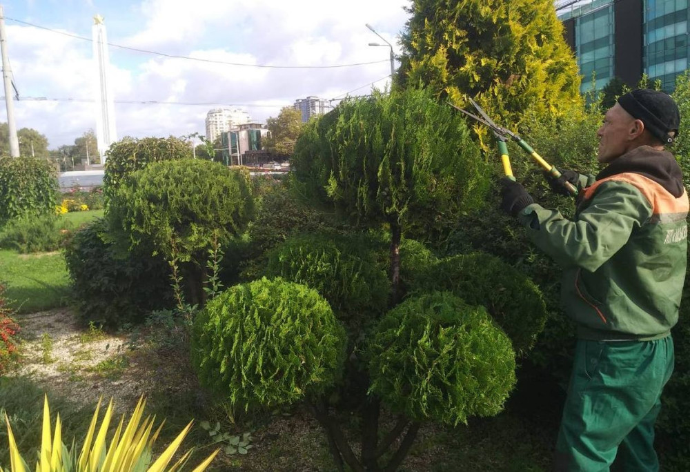 4002 image for slide