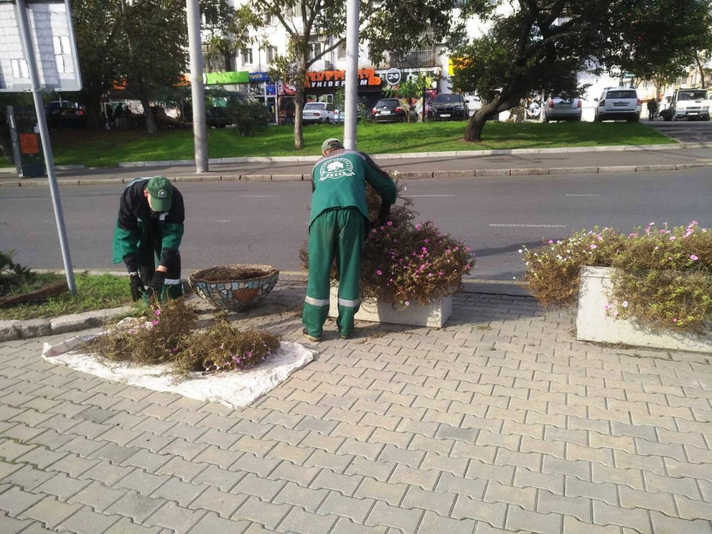 4010 image for slide