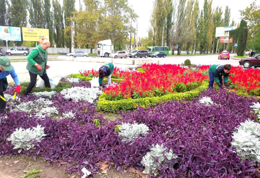 4012 image for slide