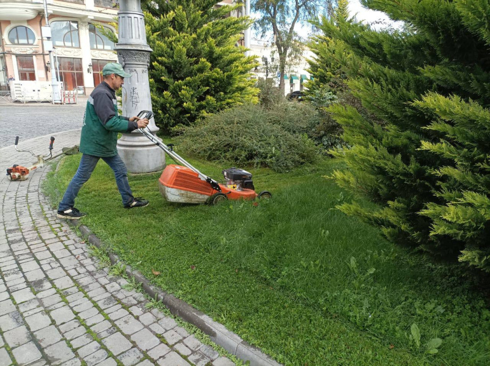 4016 image for slide