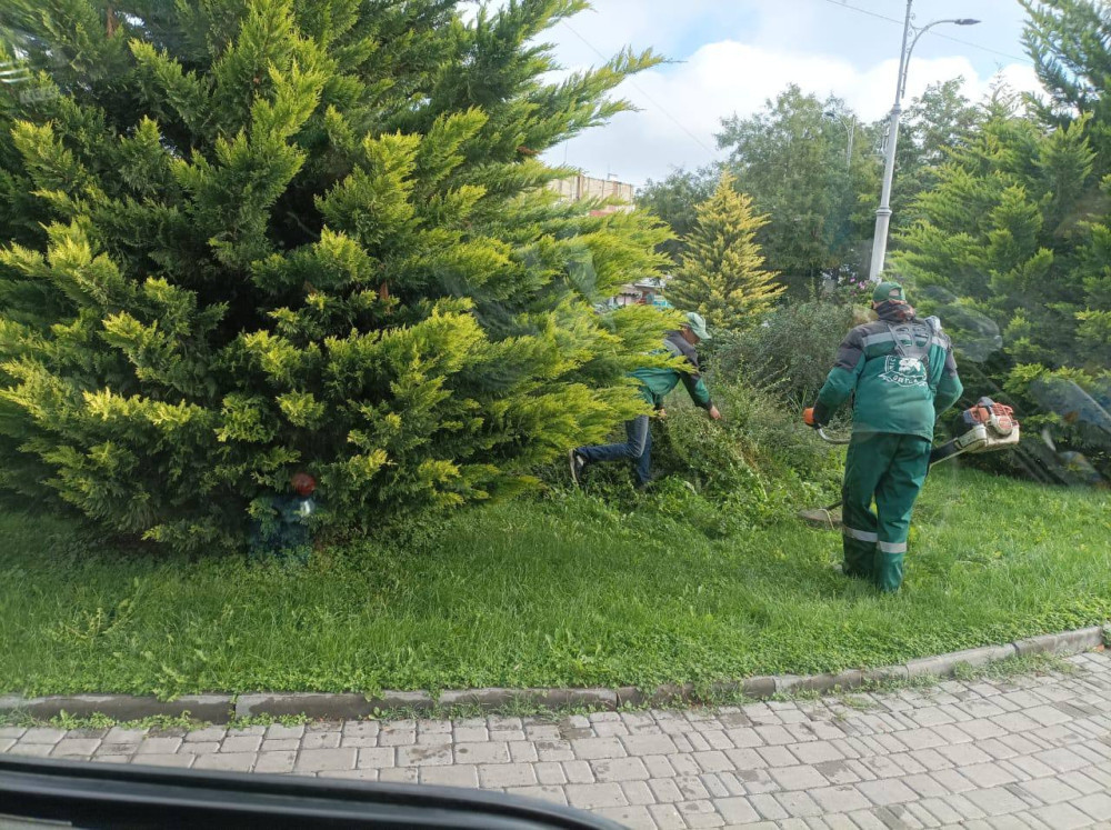 4018 image for slide