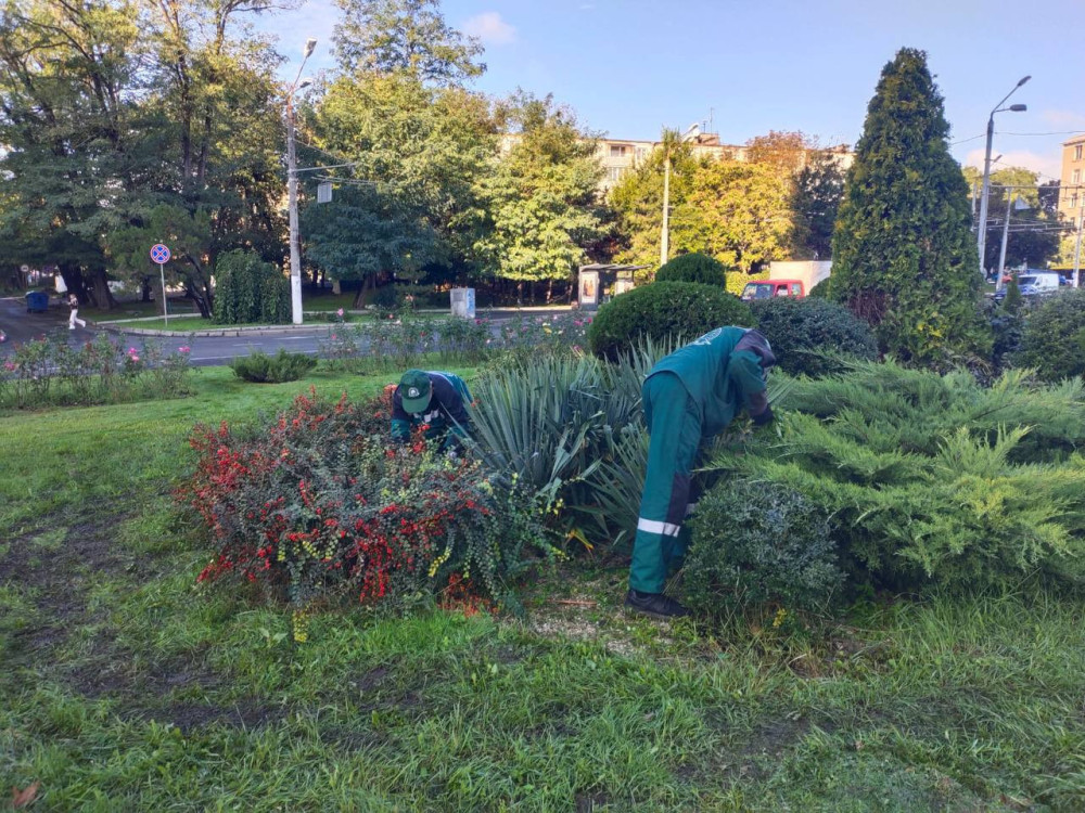 4019 image for slide