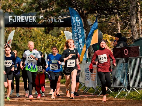 5271 image for slide