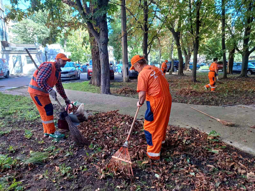 5330 image for slide