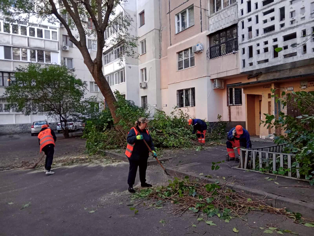 5335 image for slide