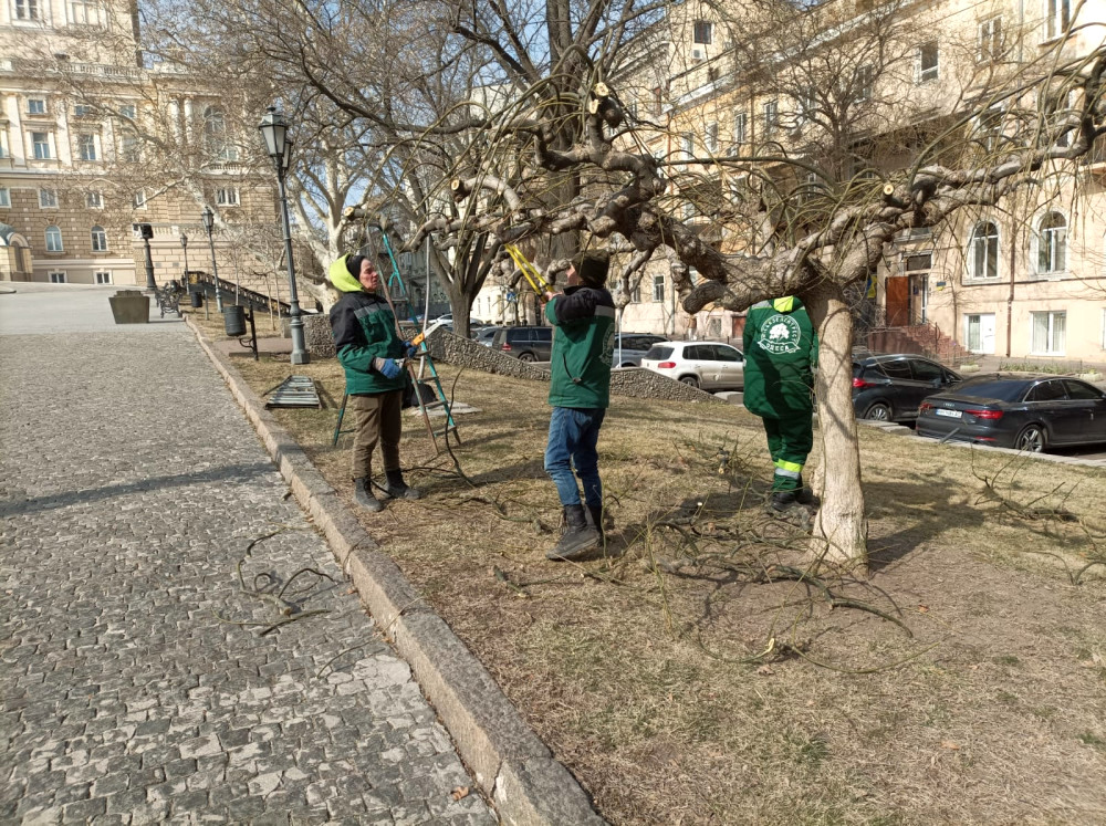 5639 image for slide