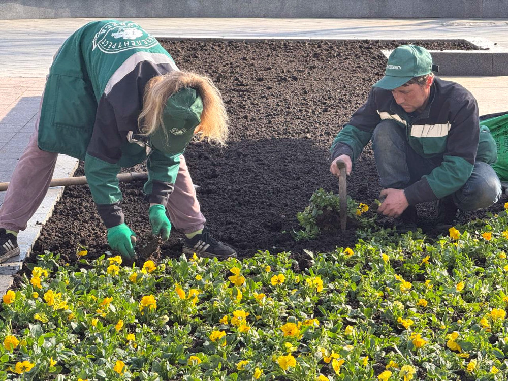 5996 image for slide