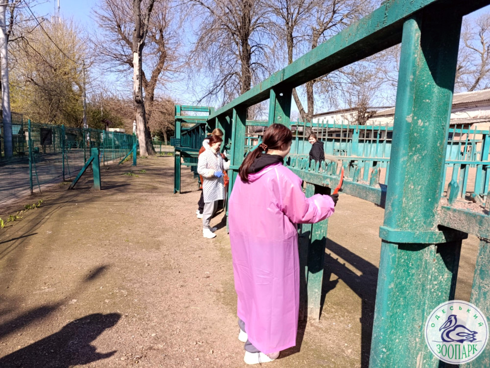 6091 image for slide
