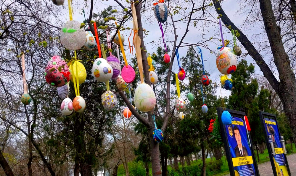 6269 image for slide