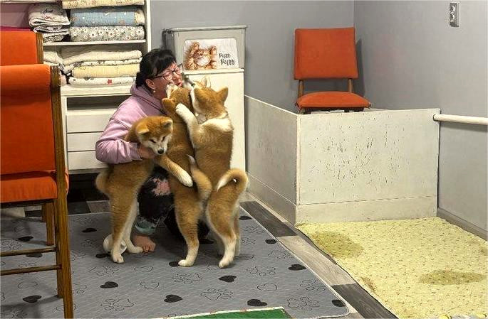 6420 image for slide