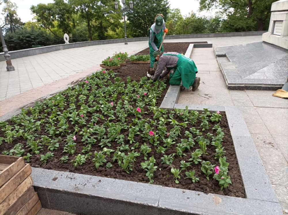 6915 image for slide