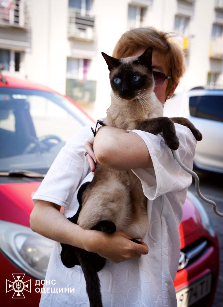 7034 image for slide