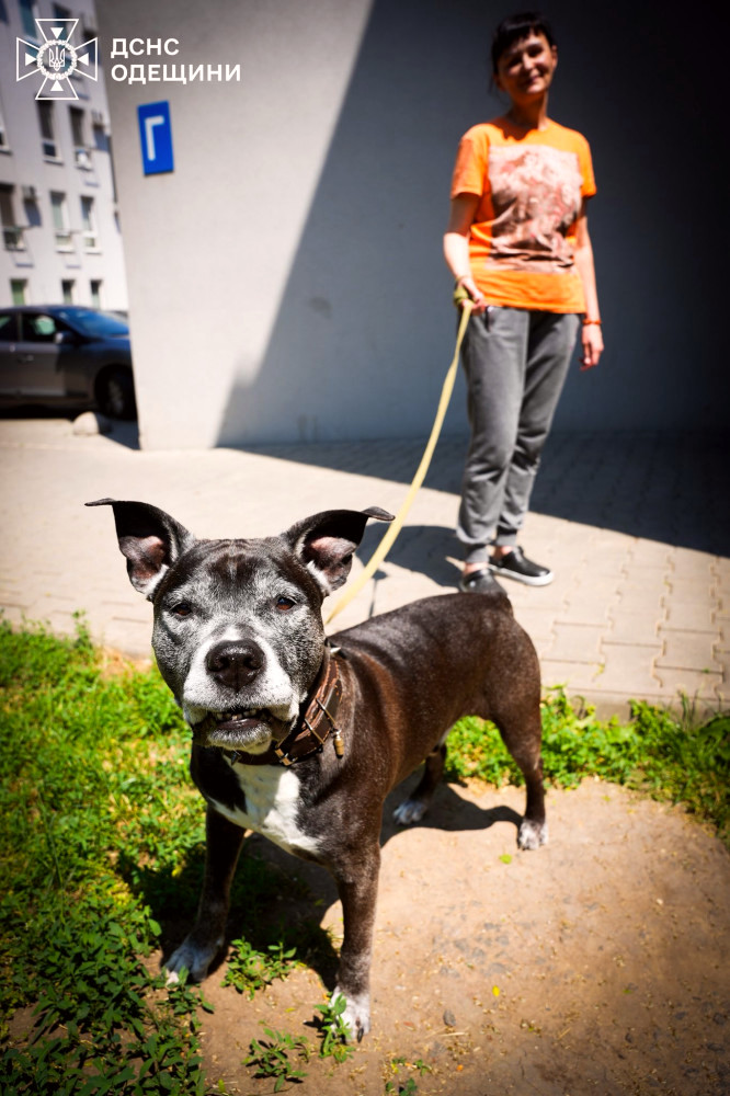 7035 image for slide