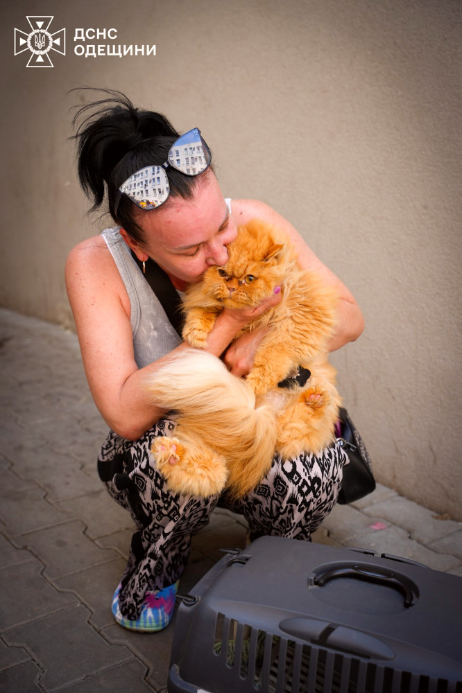 7036 image for slide