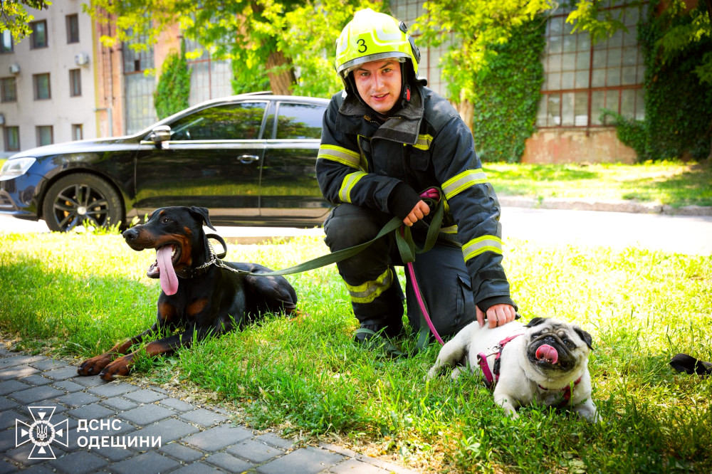 7038 image for slide