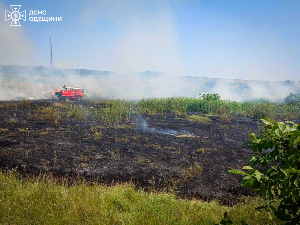 7146 image for slide