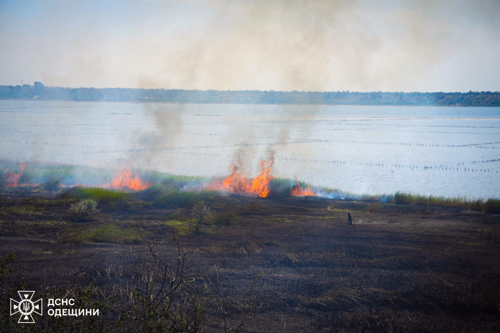 7147 image for slide