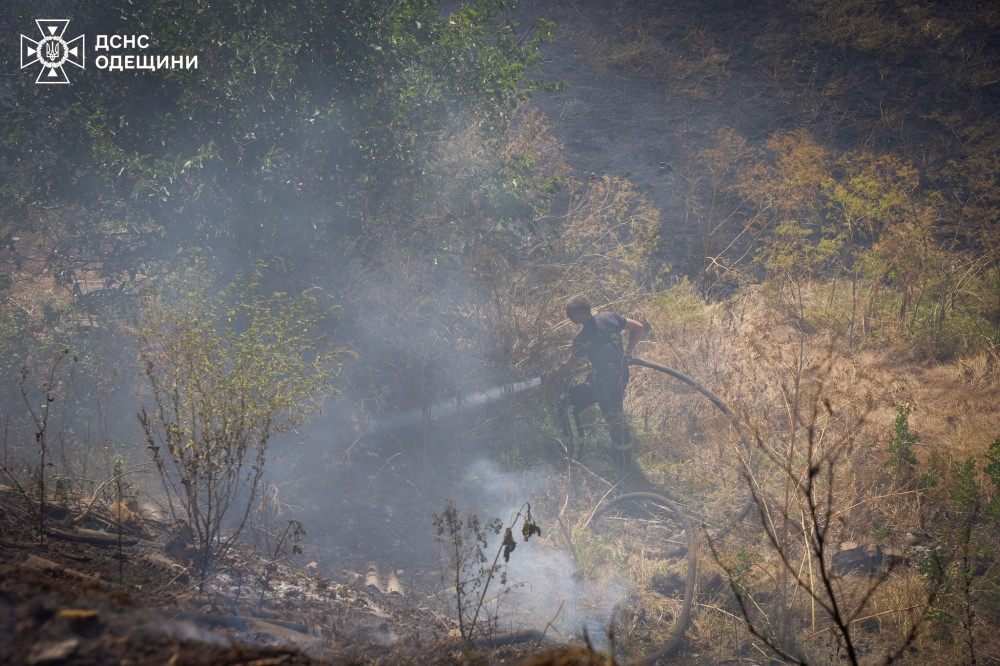 7149 image for slide