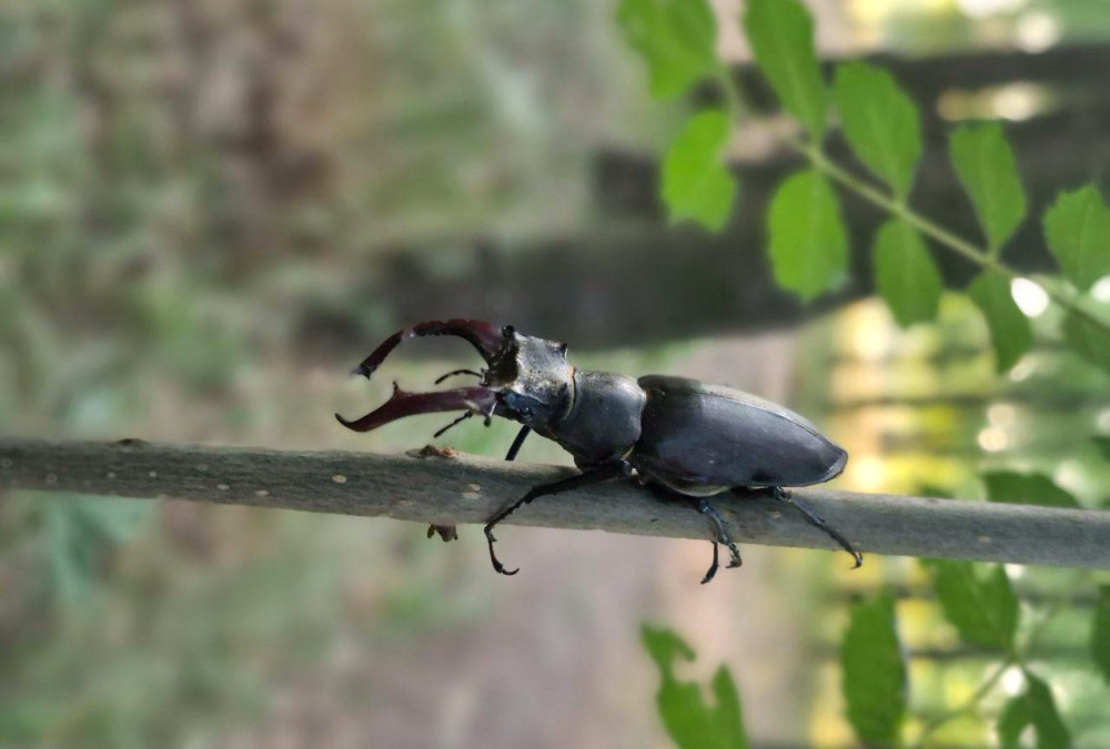 7739 image for slide