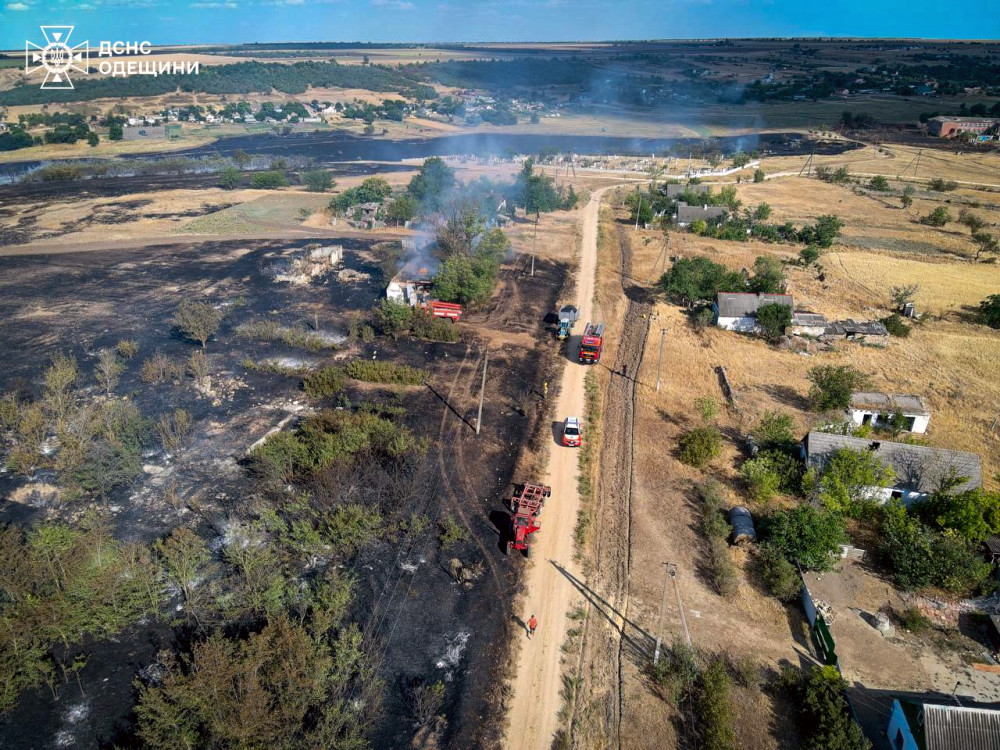 7895 image for slide