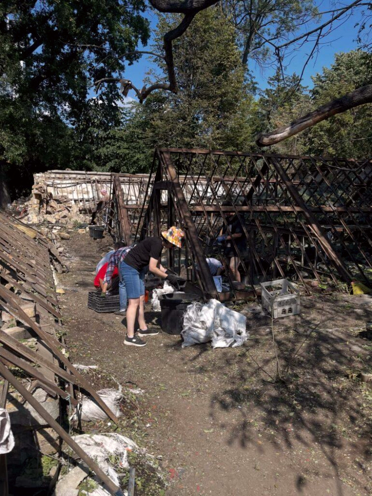 8523 image for slide