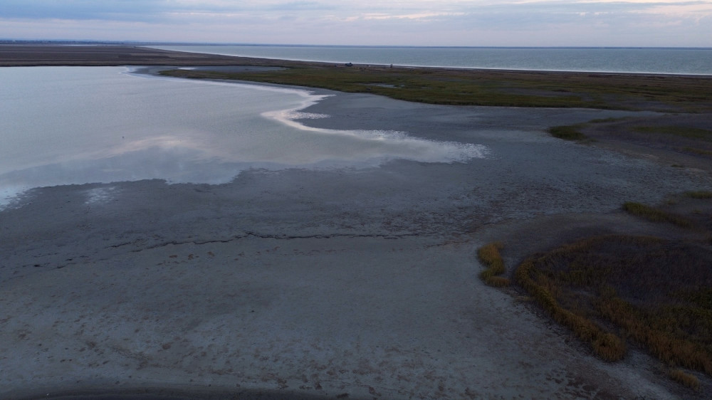 8890 image for slide