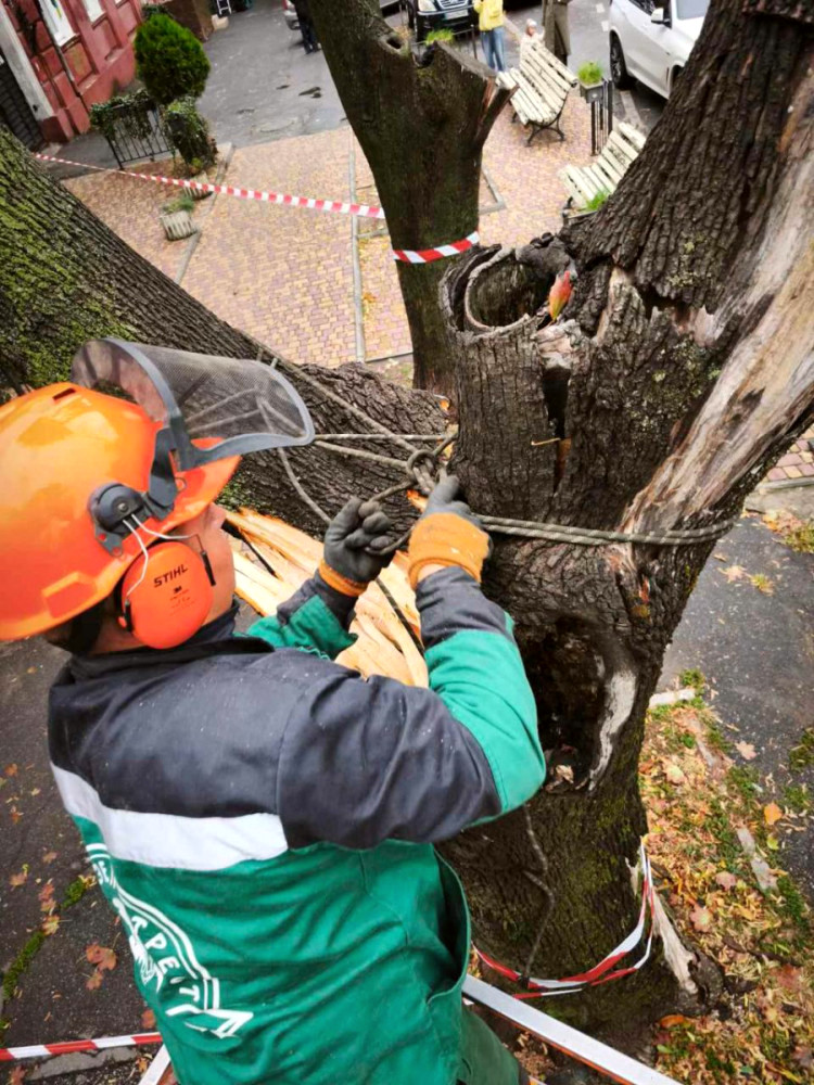 8945 image for slide