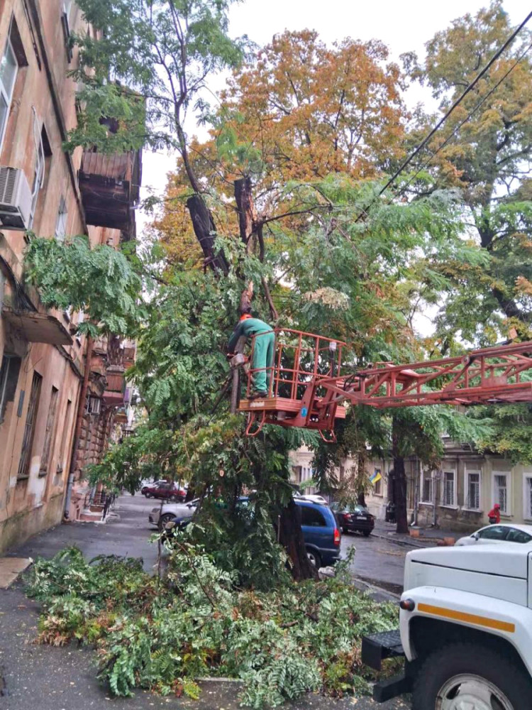 8952 image for slide