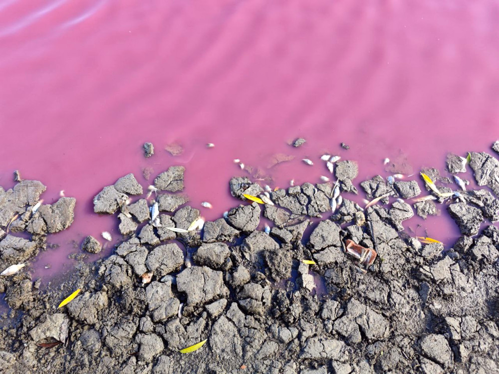 9166 image for slide