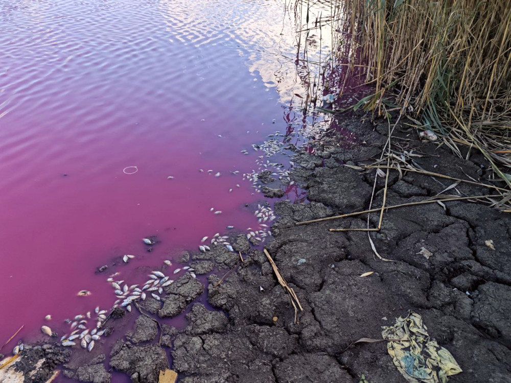 9167 image for slide