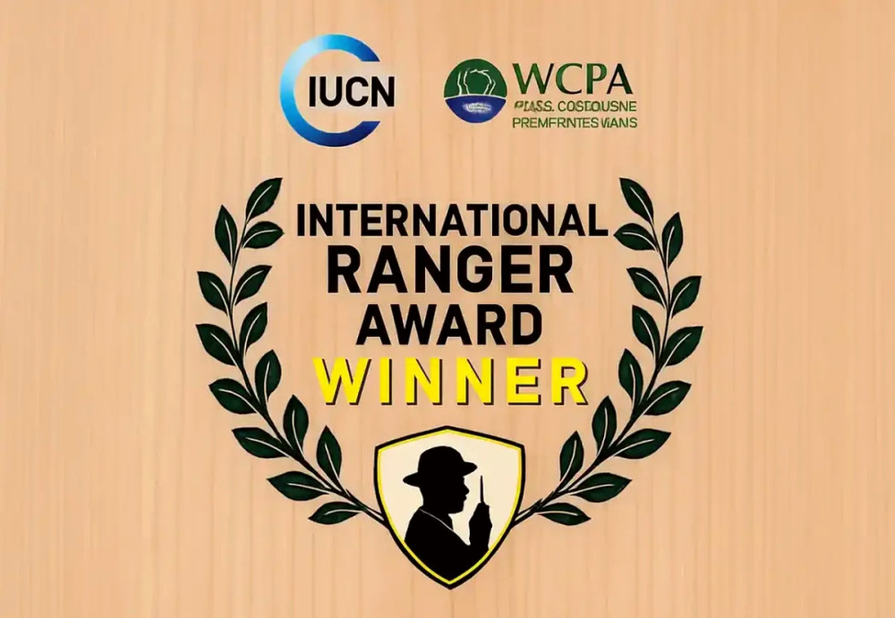 9234 image for slide