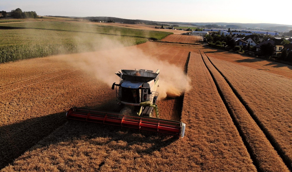 9768 image for slide