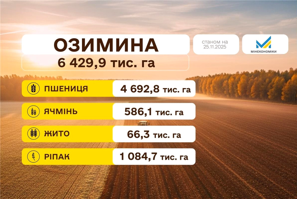 9829 image for slide